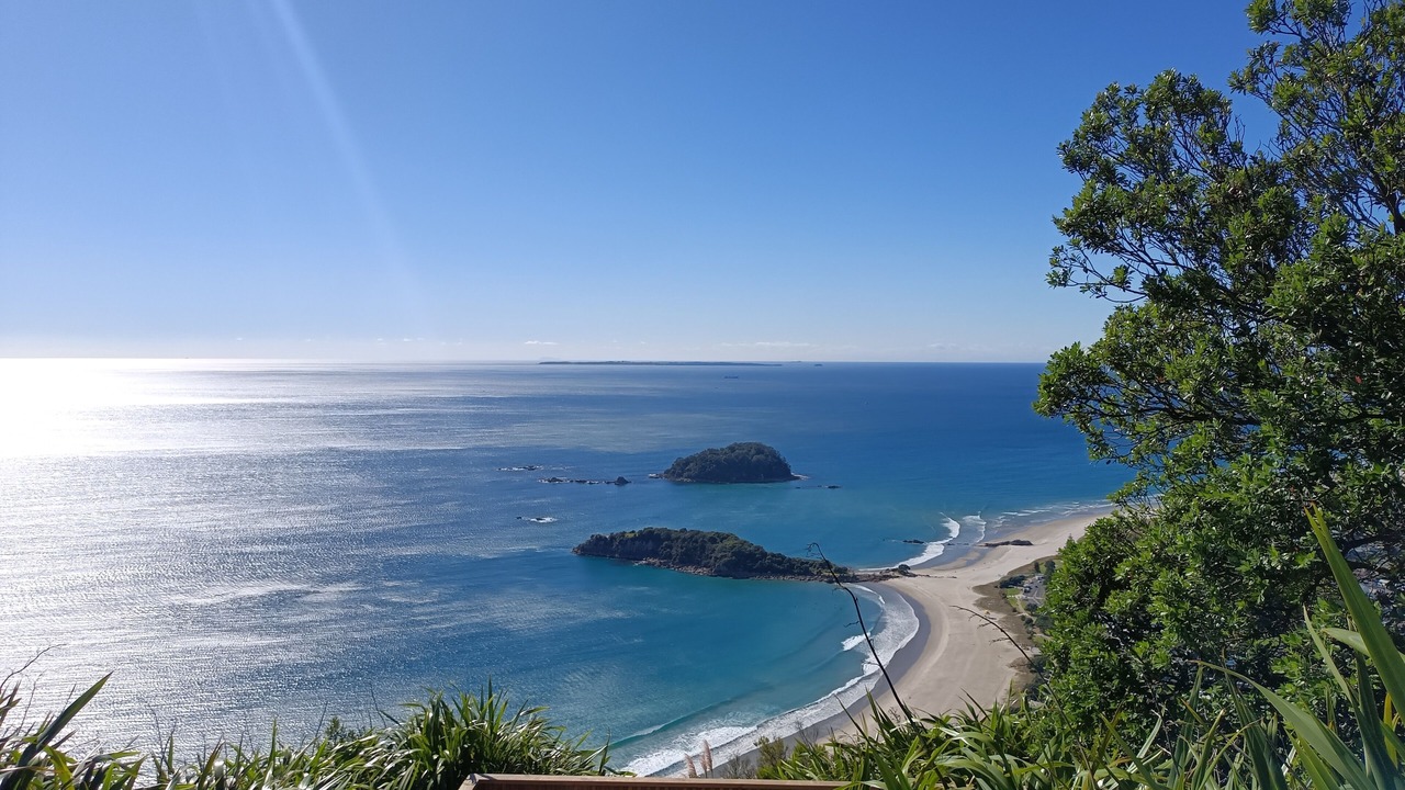 Photo of Others in Mount Maunganui