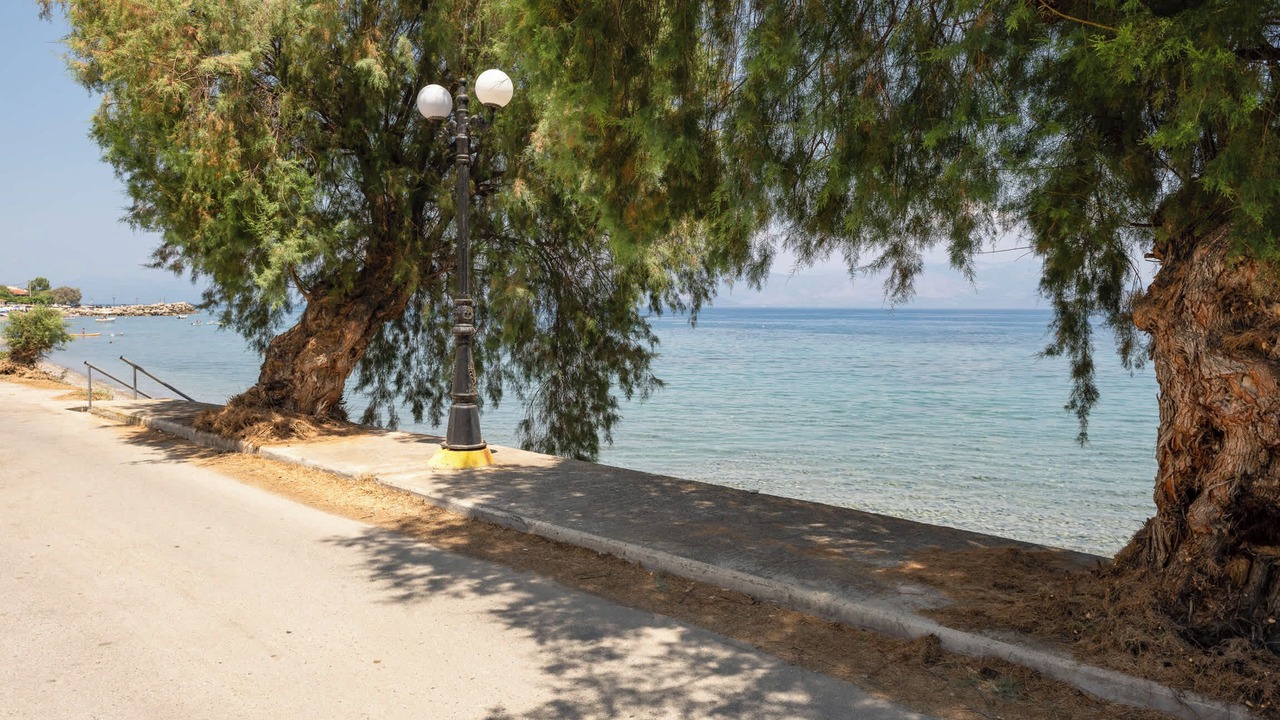 Photo of Others in Diakofto