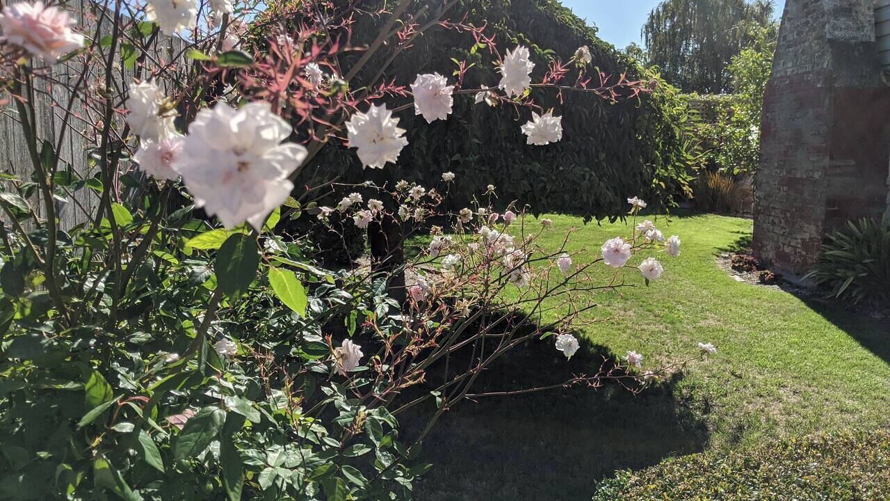 Photo of Outdoor in Devonport