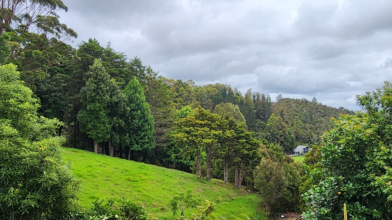 Photo of Outdoor in Bay of Islands