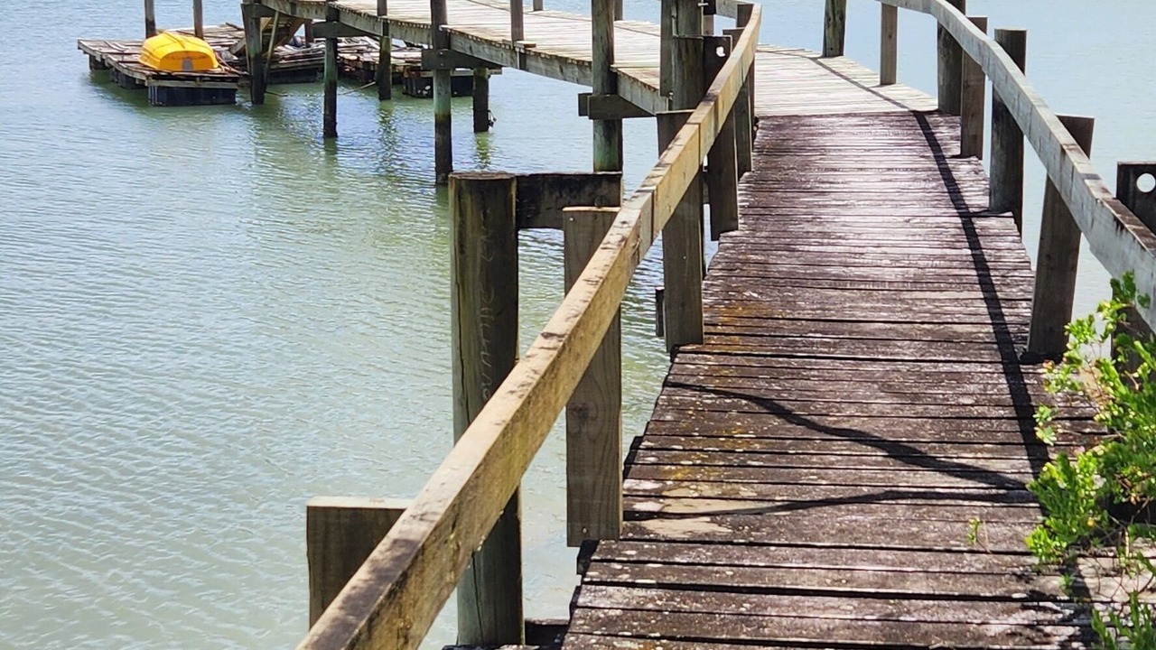 Photo of Others in Bay of Islands
