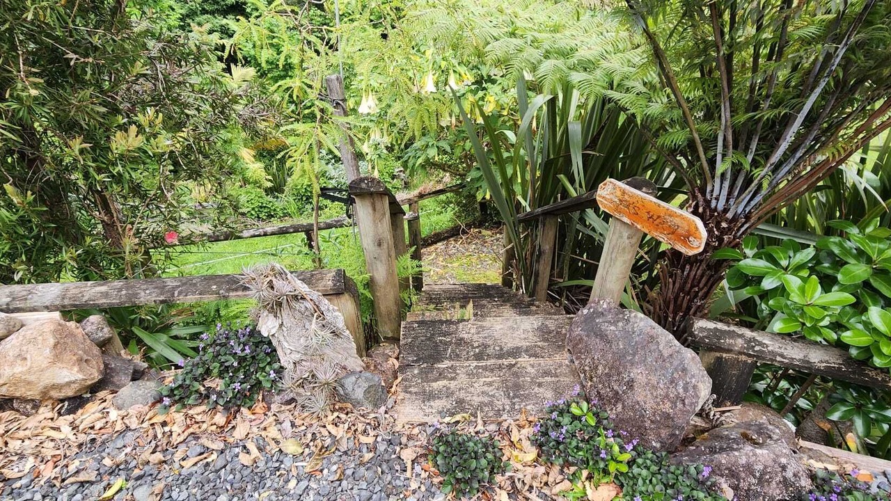 Photo of Outdoor in Bay of Islands