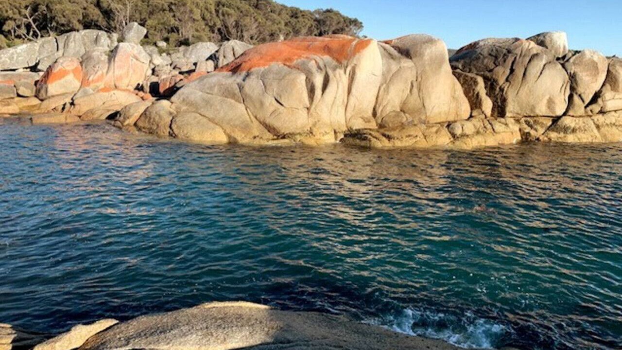 Photo of Others in Binalong Bay