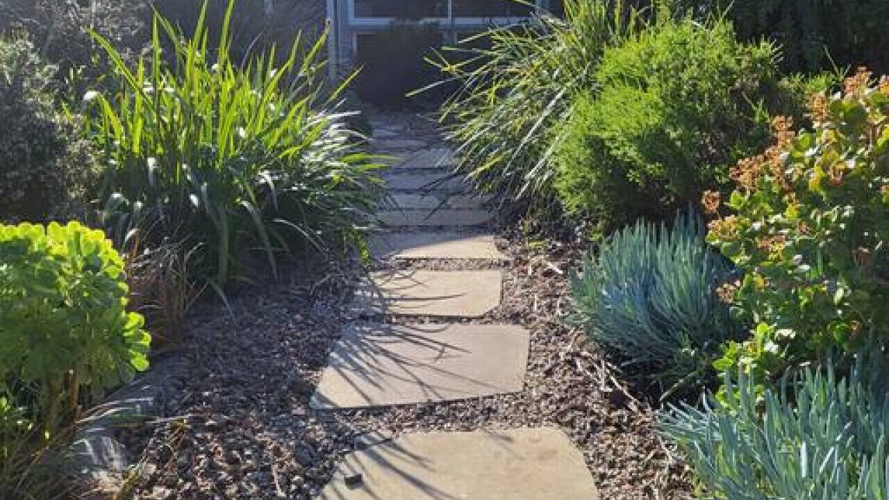 Photo of Outdoor in Scamander