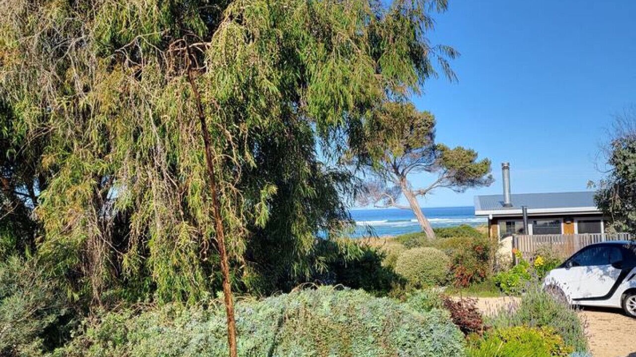 Photo of Outdoor in Scamander