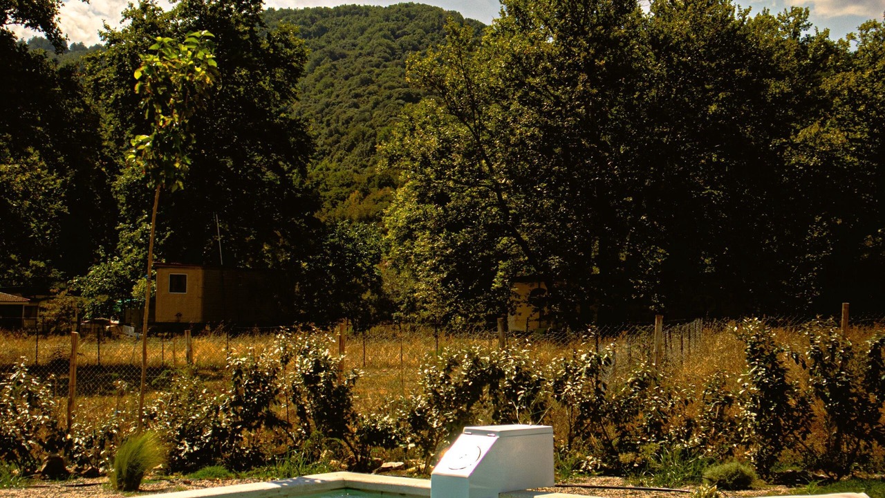 Photo of Outdoor in Olympiada