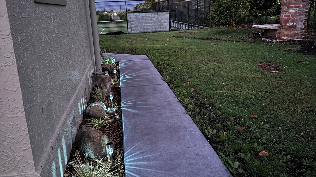 Photo of Outdoor in Pukehina