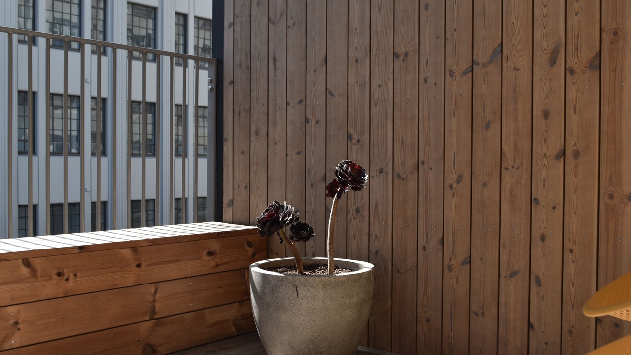 Photo of Outdoor in Te Aro