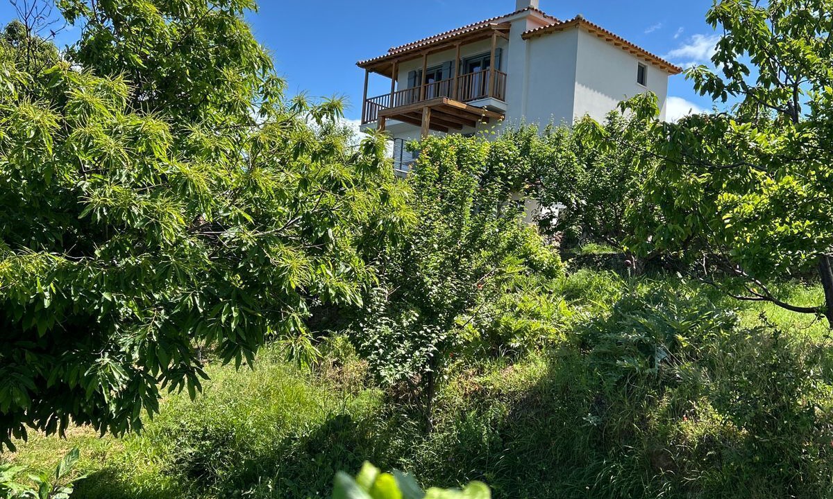 Photo of Outdoor in Skopelos Town
