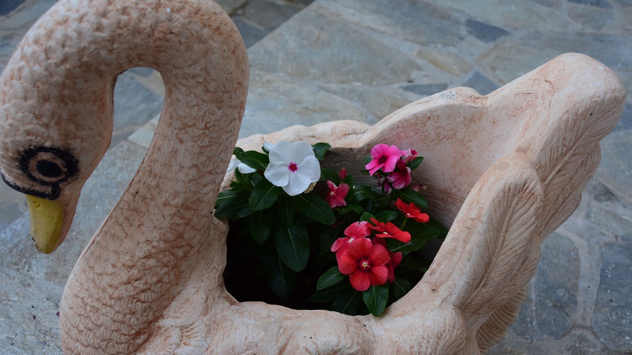 Photo of Others in Ioannina