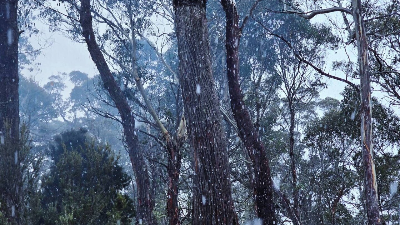 Photo of Others in Doctors Point