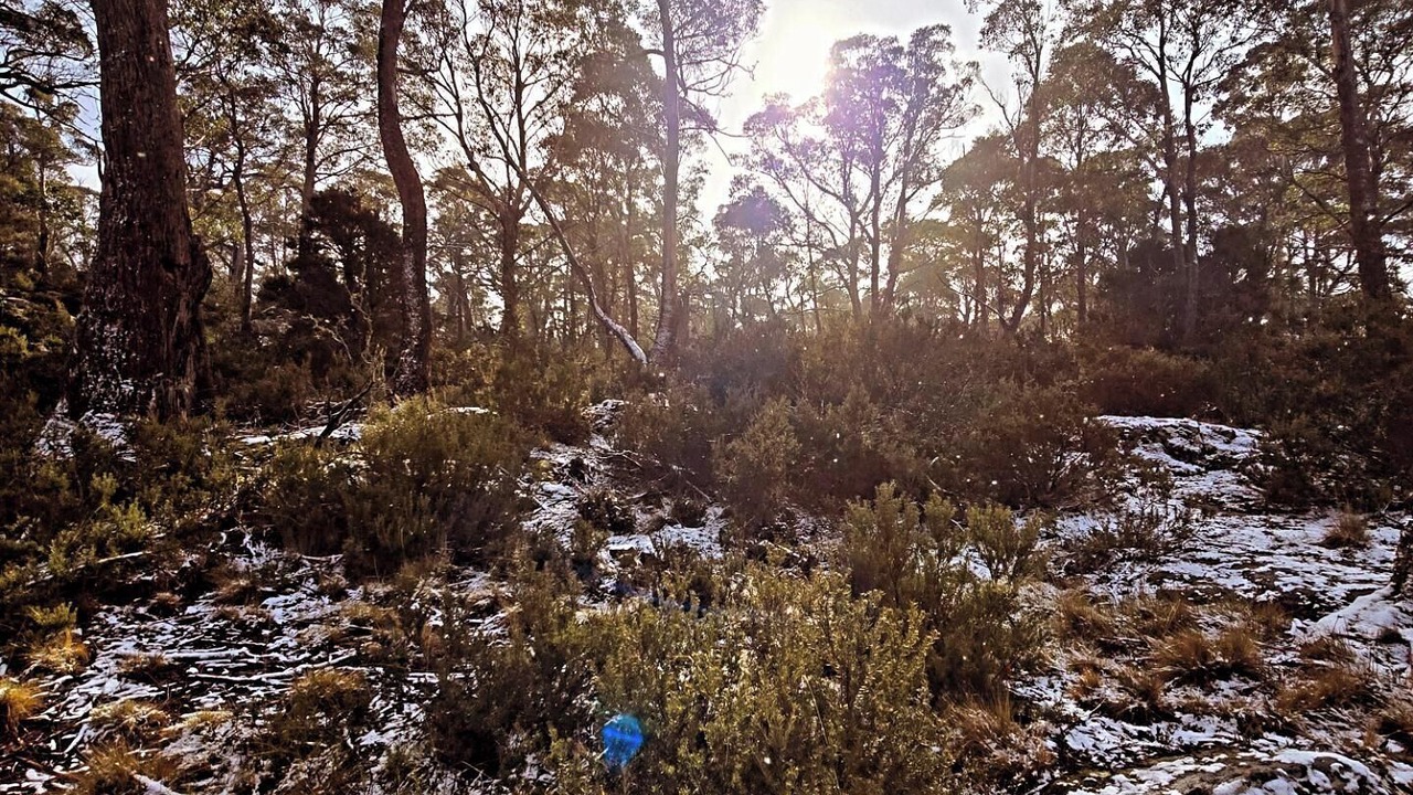 Photo of Outdoor in Doctors Point