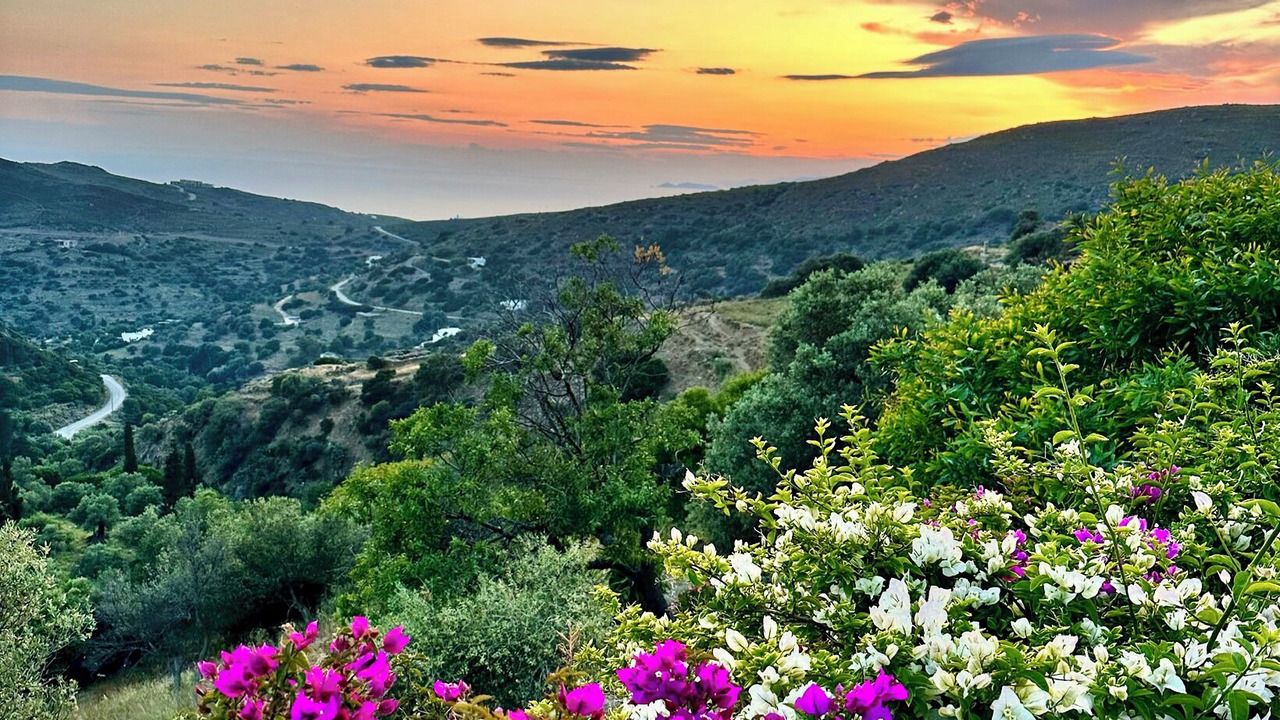 Photo of Outdoor in Andros