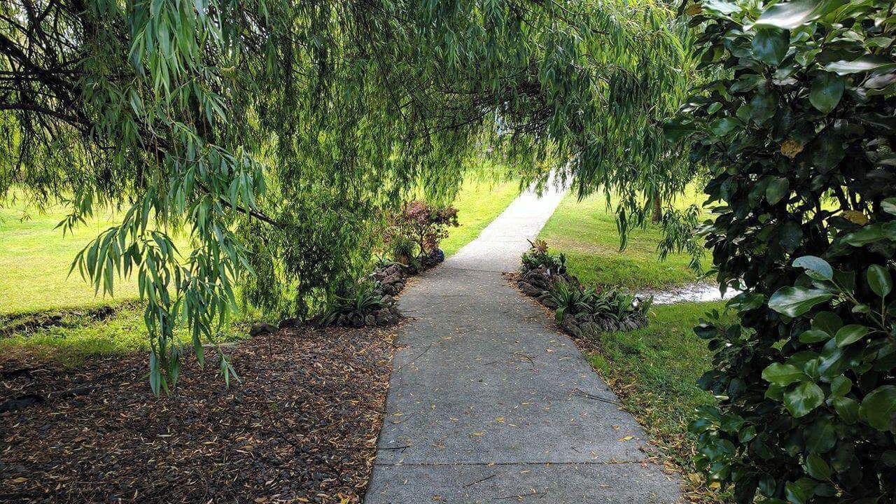 Photo of Outdoor in Whangarei