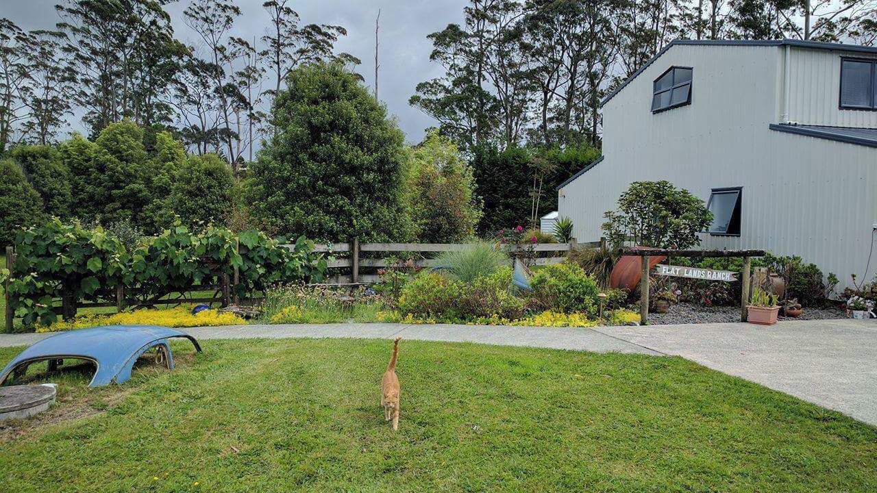 Photo of Outdoor in Whangarei