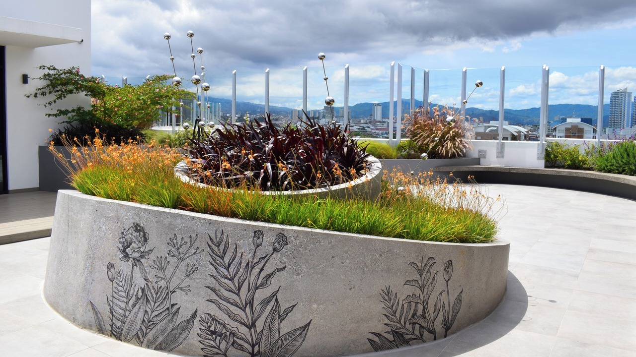 Photo of Outdoor in San Jose