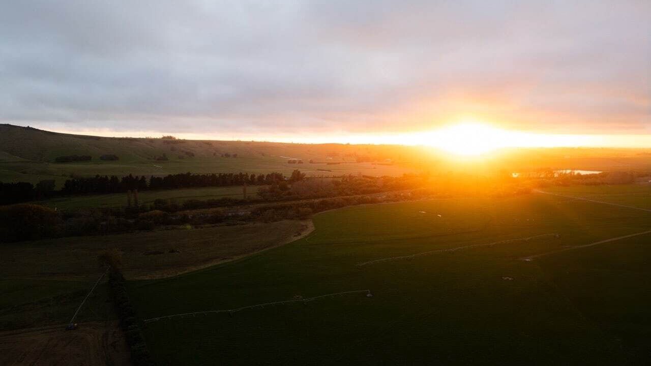 Photo of Others in Waimate District