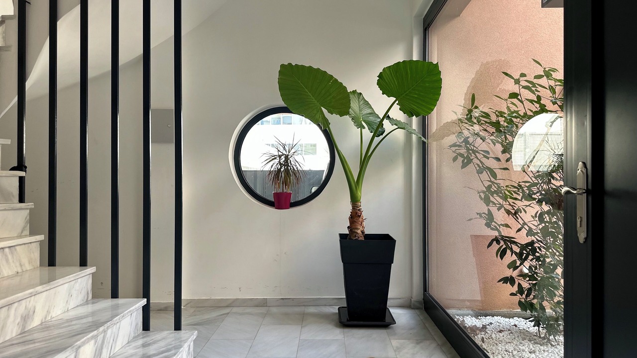 Photo of Others in Moschato-Tavros