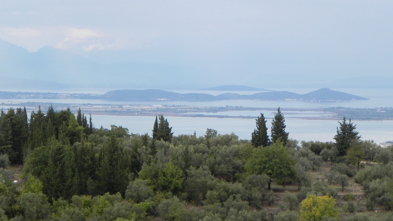 Photo of Others in Spanochori
