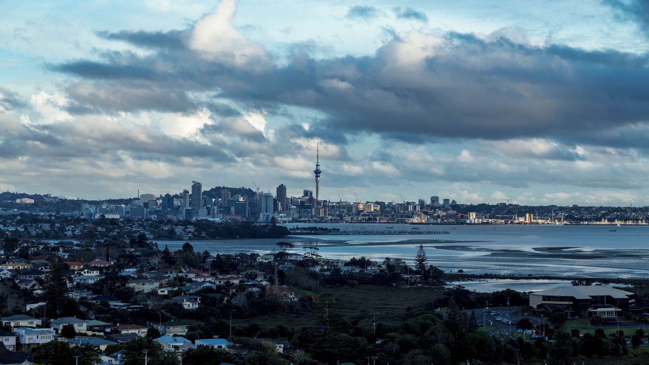 Photo of Others in Takapuna