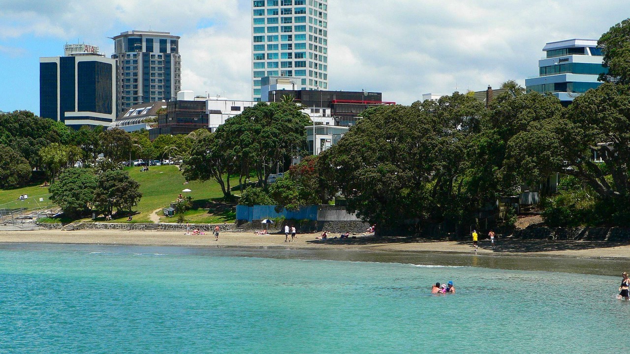 Photo of Others in Takapuna