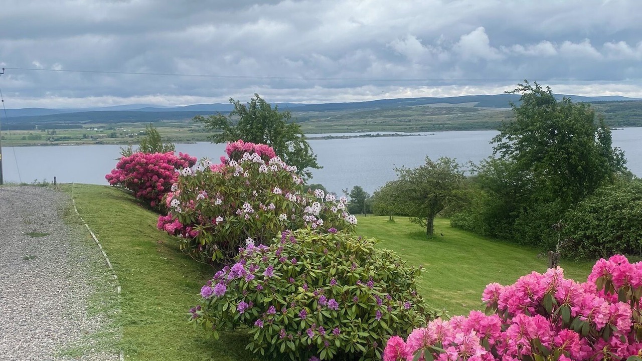 Photo of Others in Lairg