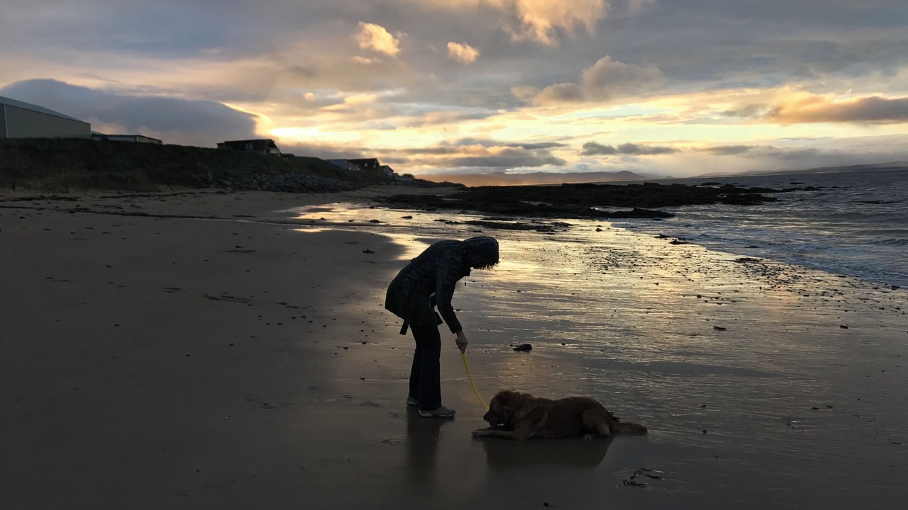 Photo of Others in Portmahomack