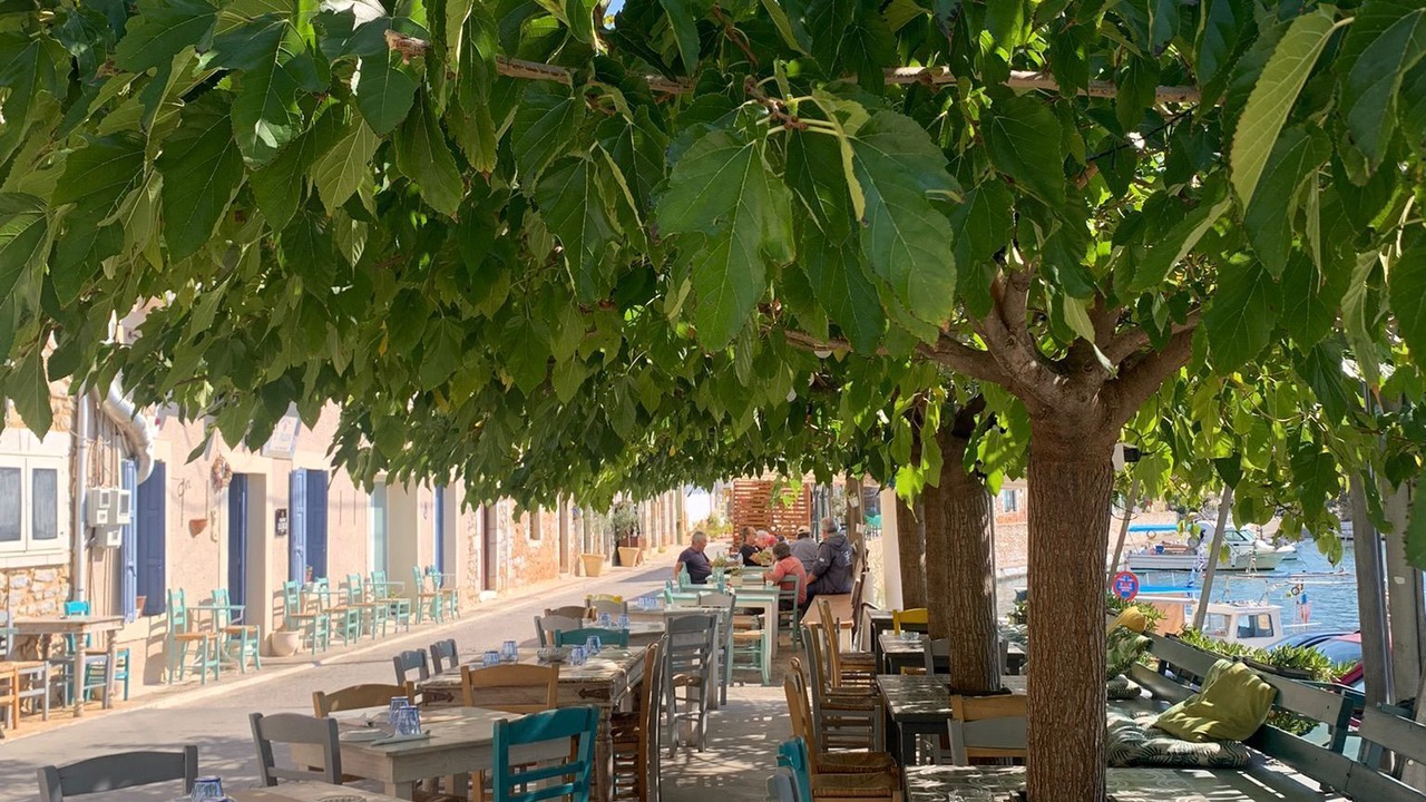 Photo of Others in Lefktron