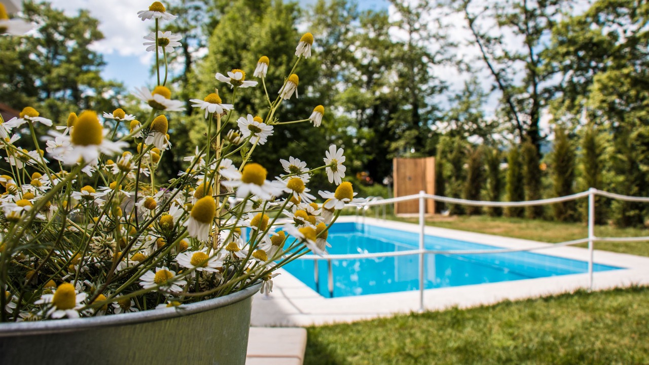 Photo of Outdoor in Olympiada