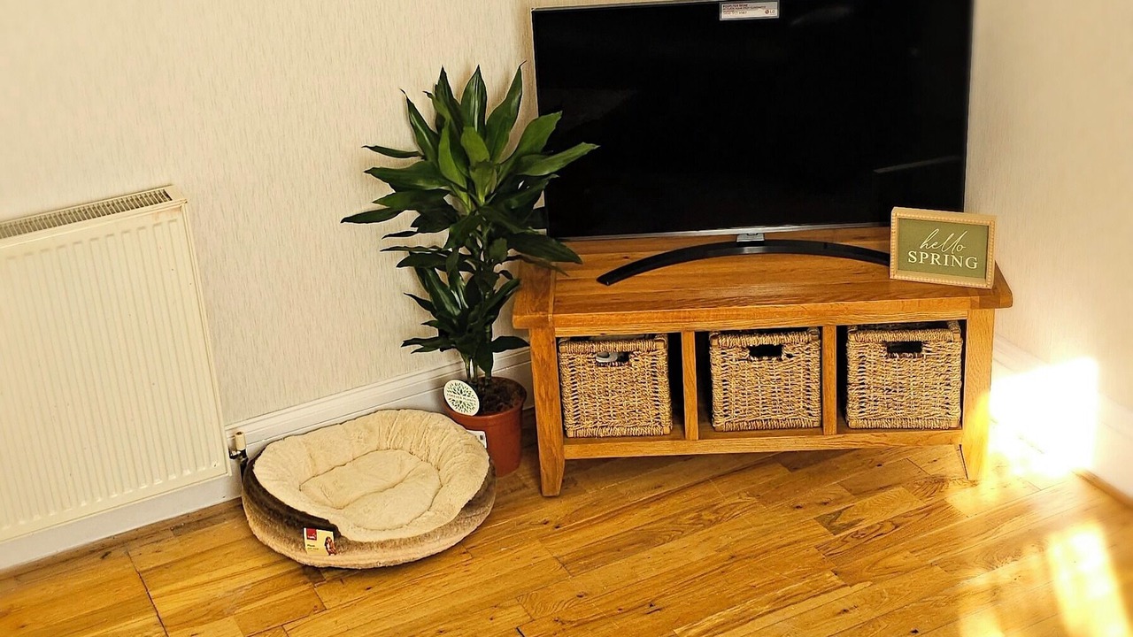 Photo of Livingroom in Central Aberdeen