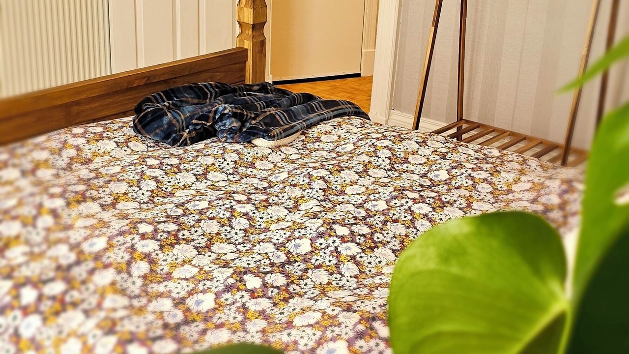 Photo of Bedroom in Central Aberdeen