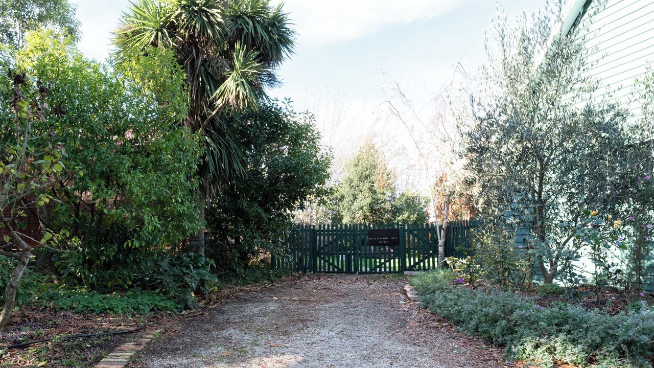 Photo of Outdoor in Evandale