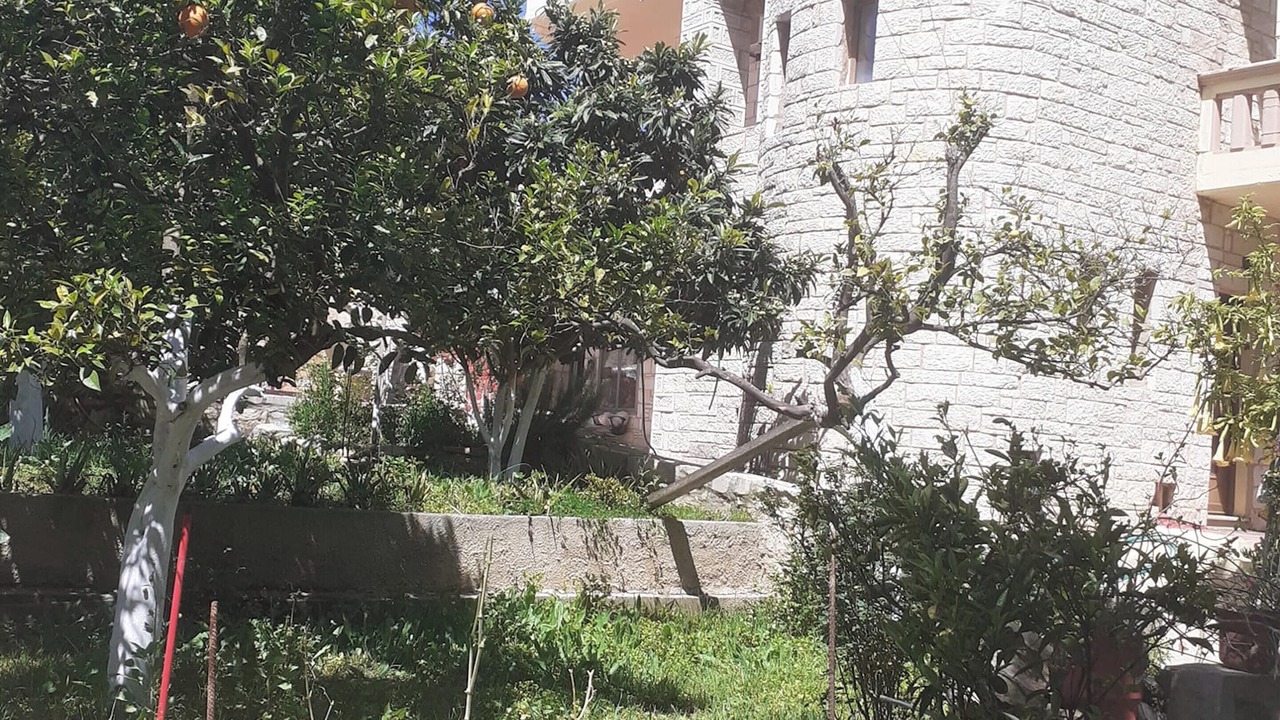 Photo of Others in Platanias