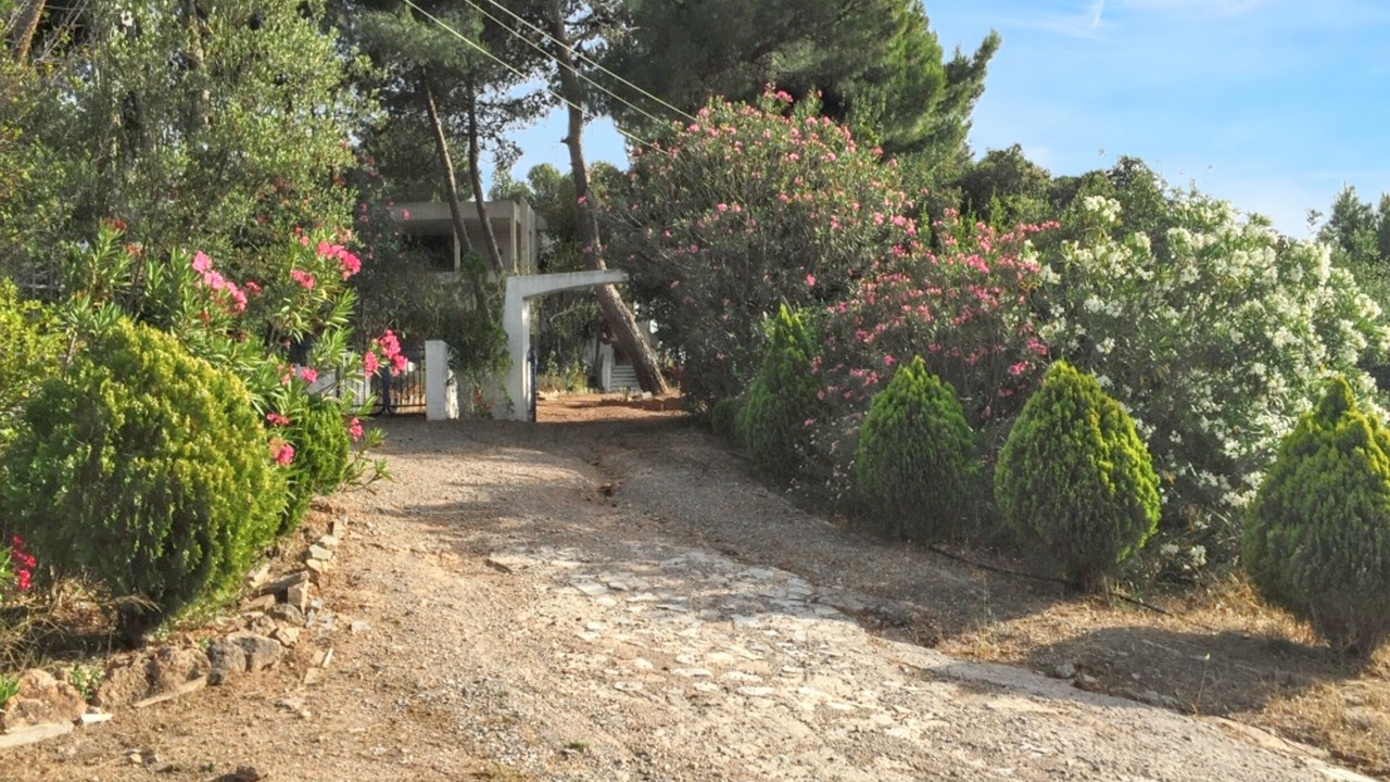 Photo of Outdoor in Chalcis