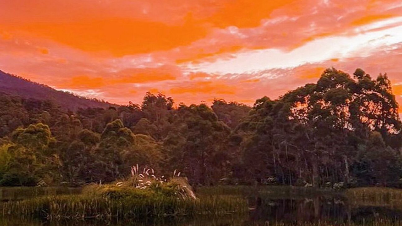 Photo of Others in Golden Valley