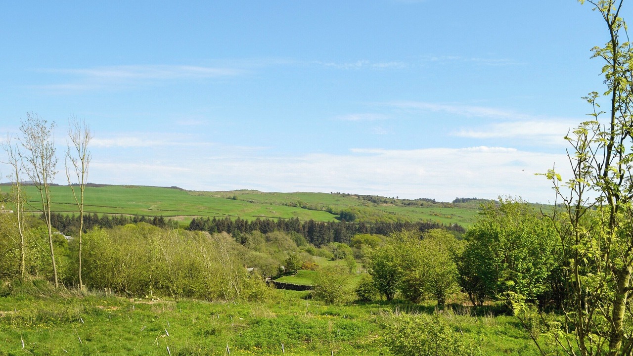 Photo of Others in Kirkcudbright
