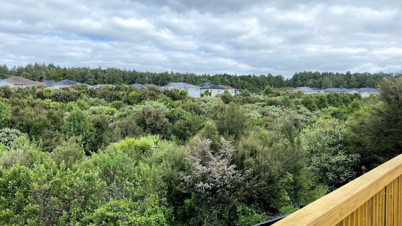Photo of Outdoor in Flat Bush