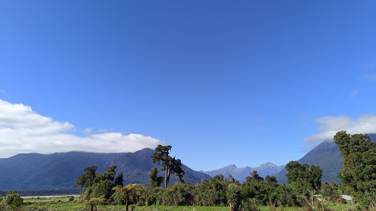 Photo of Others in Haast