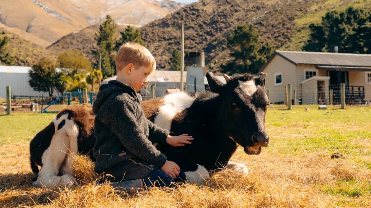 Photo of Others in Mackenzie Country