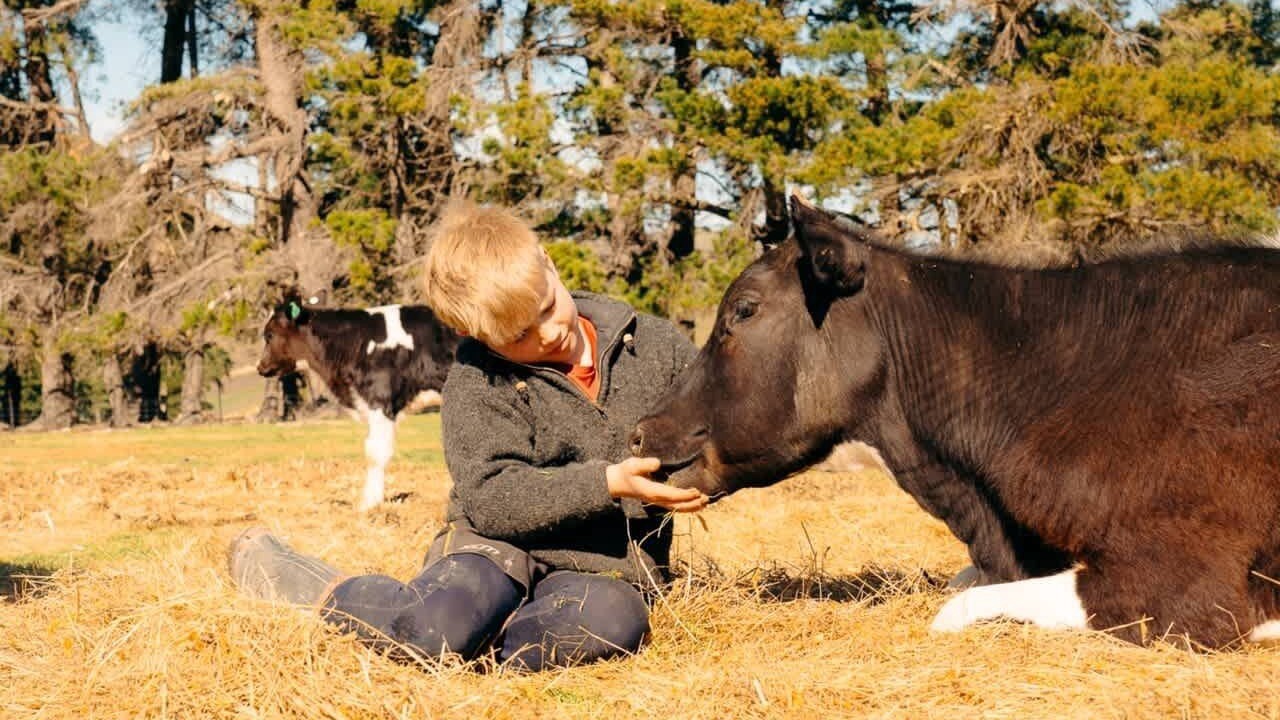 Photo of Others in Mackenzie Country