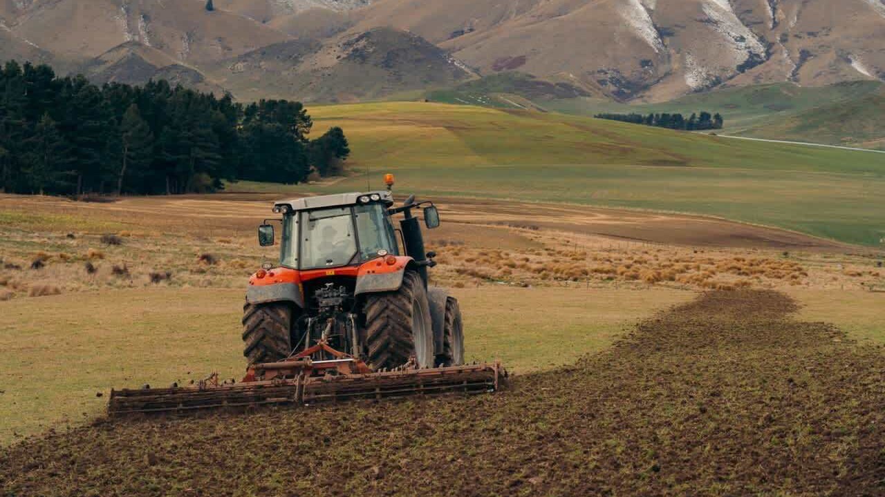 Photo of Others in Mackenzie Country