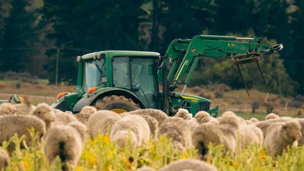 Photo of Others in Mackenzie Country