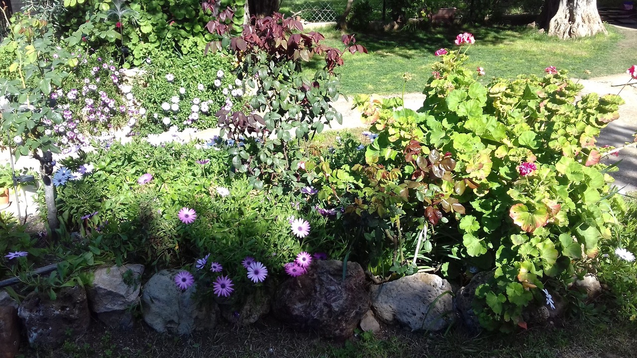 Photo of Outdoor in Skala Sotiros