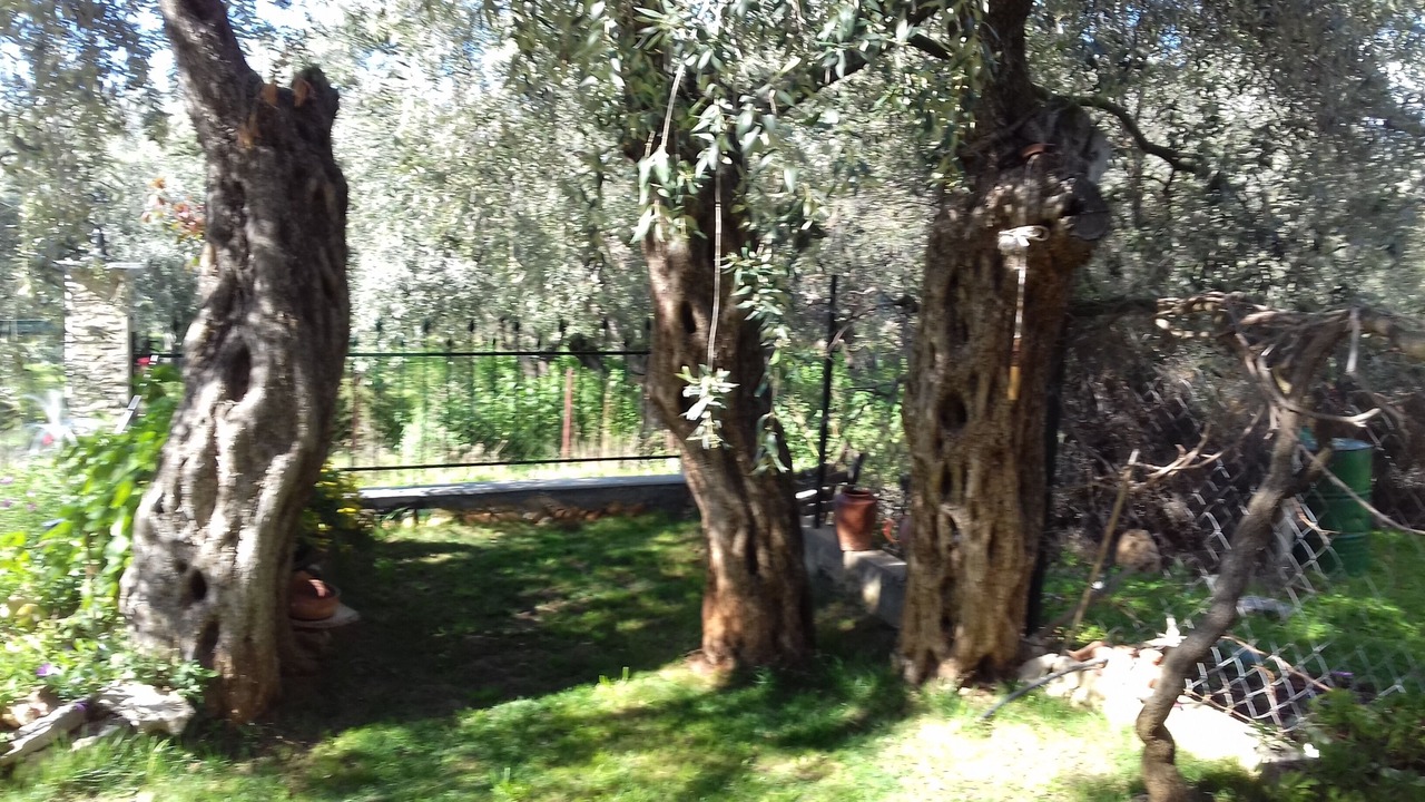 Photo of Outdoor in Skala Sotiros