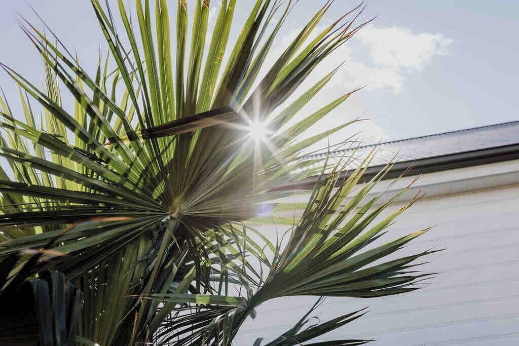 Photo of Outdoor in Scamander