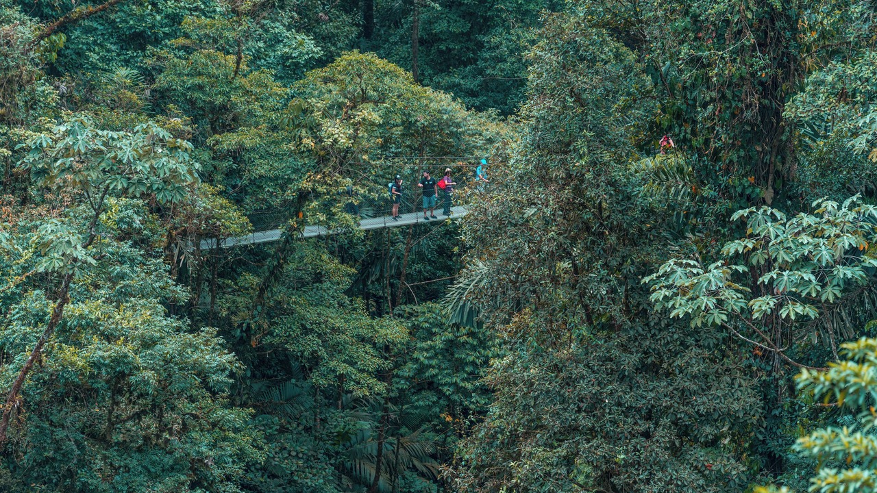 Photo of Outdoor in Arenal Hot Springs