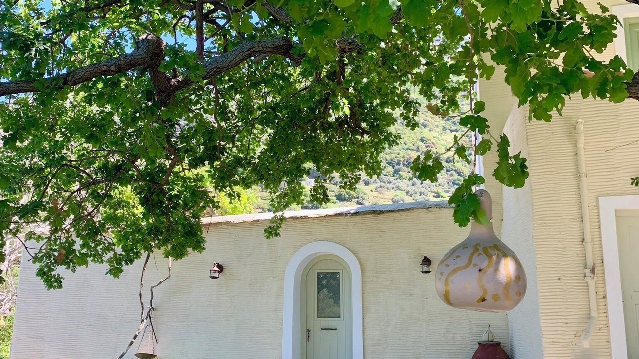 Photo of Outdoor in Andros Town