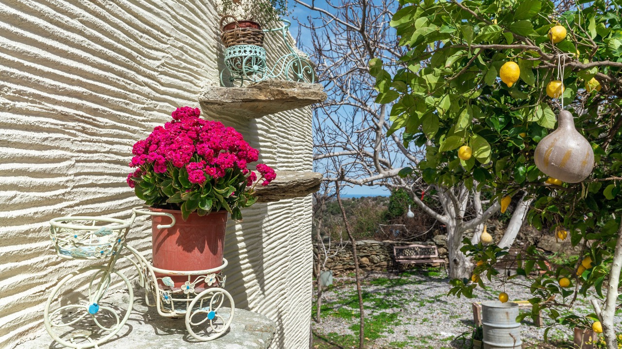 Photo of Outdoor in Andros Town