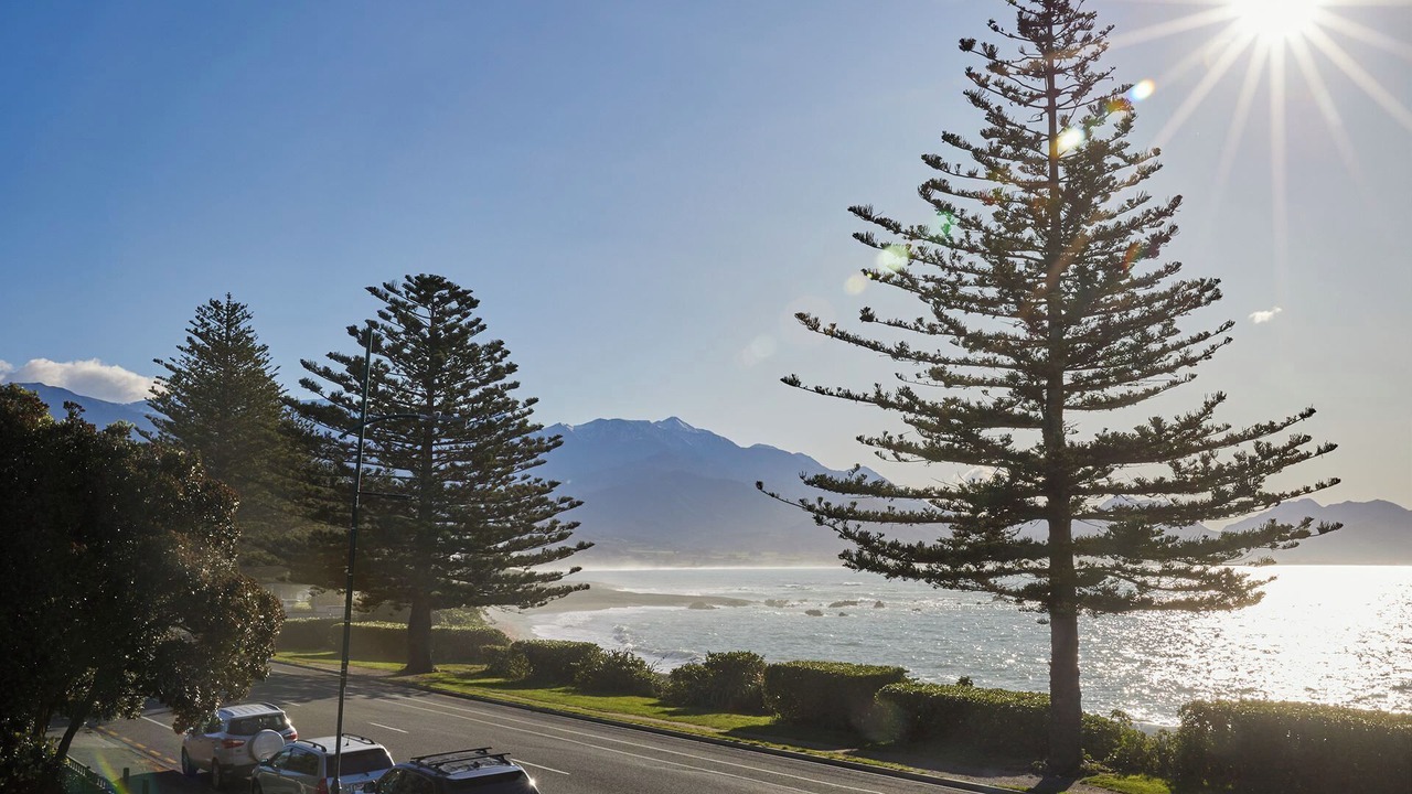 Photo of Others in Kaikoura