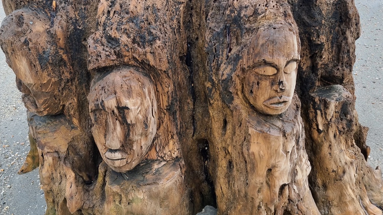 Photo of Others in Haast